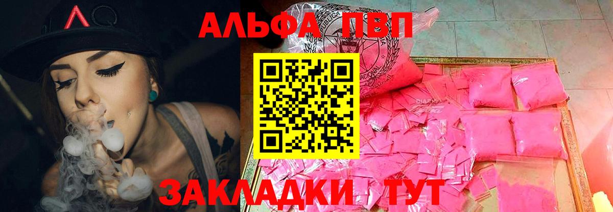 Альфа ПВП СК КРИС Кизилюрт