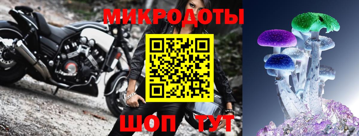 Галлюциногенные грибы Psilocybe  Вход с VPN  Кизилюрт 
