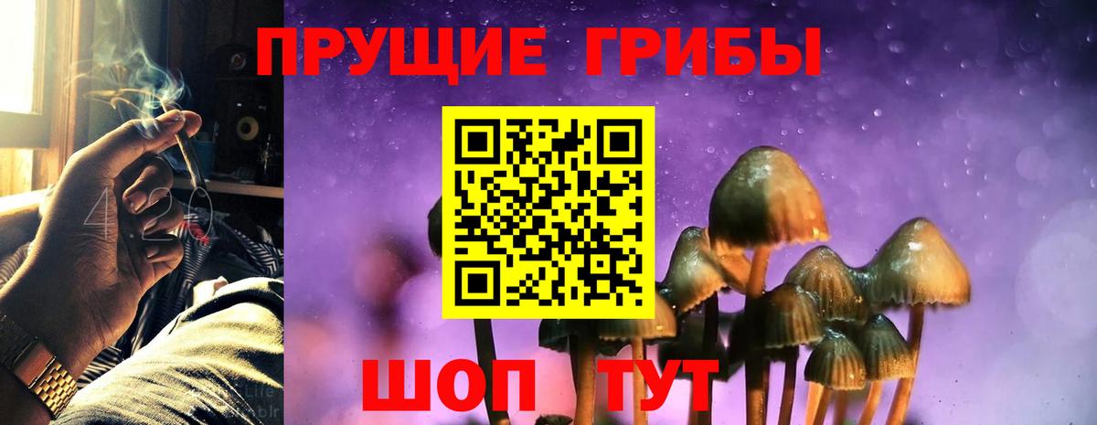 Галлюциногенные грибы MAGIC MUSHROOMS Кизилюрт