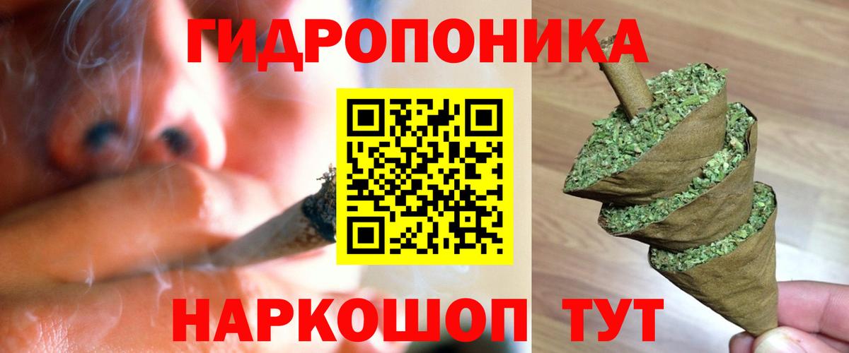 Каннабис Amnesia Кизилюрт